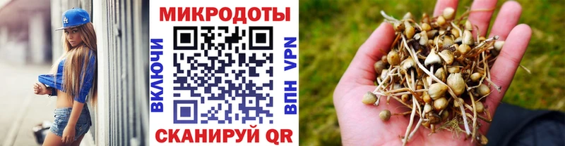 Псилоцибиновые грибы прущие грибы  где купить наркотик  Заринск 